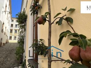 Pronájem bytu 1+1, Olomouc, Kapucínská, 23 m2