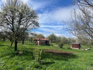 Prodej rodinného domu, Svinošice, 100 m2