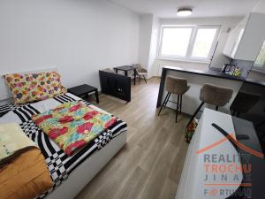 Prodej bytu 1+kk, Pardubice, nábřeží Závodu míru, 31 m2
