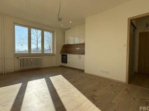 Prodej bytu 1+kk, Havířov, Elišky Krásnohorské, 23 m2