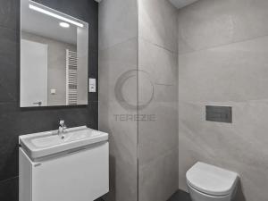 Pronájem bytu 1+kk, Praha - Hloubětín, Poděbradská, 31 m2