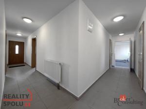 Pronájem skladu, Opava - Předměstí, 337 m2