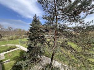 Prodej bytu 4+1, Čelákovice, Na Stráni, 81 m2