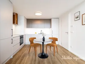 Pronájem bytu 1+kk, Praha - Holešovice, V háji, 43 m2