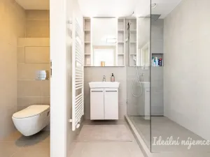 Pronájem bytu 1+kk, Praha - Holešovice, V háji, 43 m2