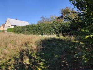 Prodej pozemku pro bydlení, Vortová, Vortová, 1232 m2