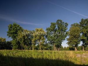 Prodej zemědělské usedlosti, Pištín, 200 m2