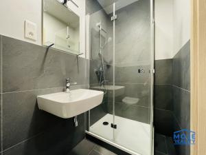 Pronájem bytu 2+kk, Plzeň - Jižní Předměstí, Kotkova, 33 m2