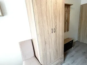 Pronájem bytu 1+kk, Praha - Černý Most, Vlčkova, 18 m2