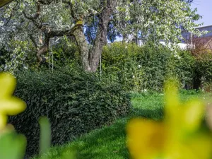 Prodej rodinného domu, Praha - Lipence, Na Bambouzku, 308 m2