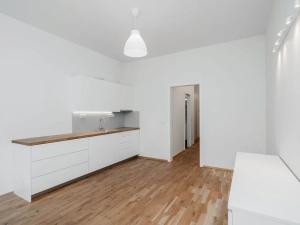 Pronájem bytu 1+kk, Praha - Žižkov, Řehořova, 30 m2