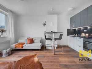 Pronájem bytu 1+kk, Praha - Hostivař, Rižská, 35 m2