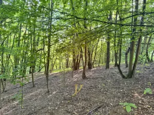 Prodej komerčního pozemku, Hlubočky, 44238 m2