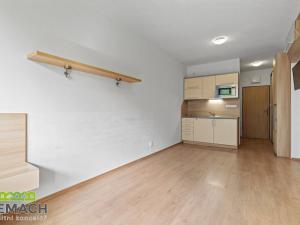 Prodej bytu 1+kk, Všemina, 25 m2
