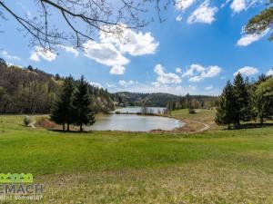 Prodej bytu 1+kk, Všemina, 25 m2