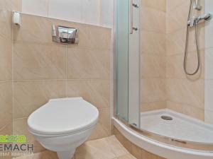 Prodej bytu 1+kk, Všemina, 25 m2