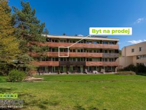 Prodej bytu 1+kk, Všemina, 25 m2