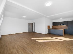 Pronájem bytu 1+kk, Zruč-Senec - Zruč, Sportovní, 62 m2