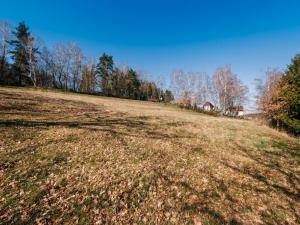 Prodej pozemku pro bydlení, Trpišovice - Dobrovítova Lhota, 2791 m2