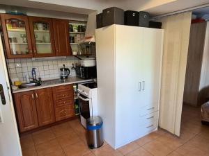 Prodej ubytování, Český Krumlov - Nové Spolí, Tichá, 800 m2