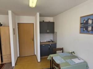 Prodej ubytování, Český Krumlov - Nové Spolí, Tichá, 800 m2