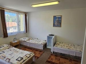 Prodej ubytování, Český Krumlov - Nové Spolí, Tichá, 800 m2