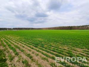 Prodej pole, Čistá, 27281 m2