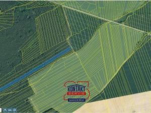 Prodej lesa, Štichovice, 14637 m2