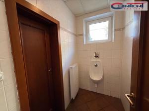 Pronájem výrobních prostor, Brno - Maloměřice, Kulkova, 6145 m2