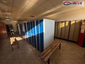 Pronájem výrobních prostor, Brno - Maloměřice, Kulkova, 6145 m2