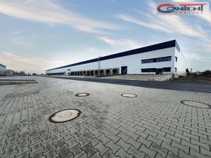 Pronájem výrobních prostor, Údlice, Droužkovická, 15000 m2