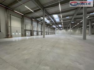 Pronájem výrobních prostor, Údlice, Droužkovická, 15000 m2