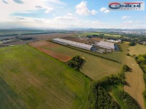 Pronájem výrobních prostor, Údlice, Droužkovická, 15000 m2