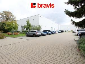 Pronájem kanceláře, Brno, Křenová, 52 m2