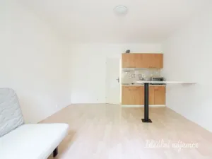 Pronájem bytu 1+kk, Brno - Líšeň, bratří Sapáků, 29 m2
