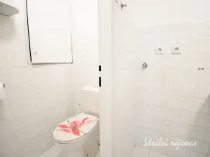 Pronájem bytu 1+kk, Brno - Líšeň, bratří Sapáků, 29 m2