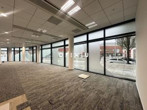 Pronájem obchodního prostoru, Brno, Přízova, 126 m2