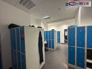 Pronájem skladu, Chrášťany, Za Tratí, 4100 m2