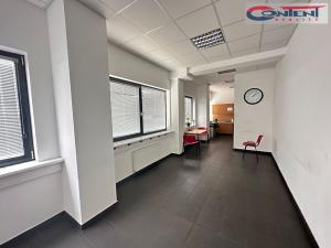 Pronájem skladu, Chrášťany, Za Tratí, 4100 m2