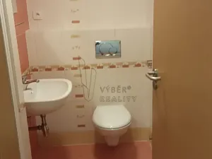 Pronájem bytu 1+kk, Most, Radniční, 35 m2