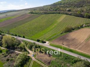 Prodej zahrady, Dolní Věstonice, 2449 m2