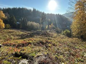 Prodej komerční nemovitosti, Smolné Pece, 5332 m2