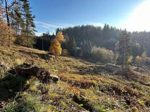 Prodej komerční nemovitosti, Smolné Pece, 5332 m2