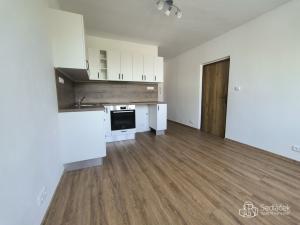 Pronájem bytu 1+1, Sokolov, Závodu míru, 35 m2