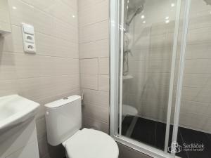 Pronájem bytu 1+1, Sokolov, Závodu míru, 35 m2