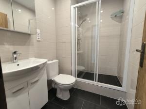 Pronájem bytu 1+1, Sokolov, Závodu míru, 35 m2