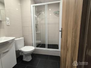 Pronájem bytu 1+1, Sokolov, Závodu míru, 35 m2