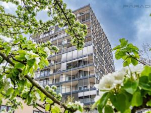 Pronájem bytu 2+kk, Praha - Žižkov, Malešická, 98 m2