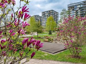 Pronájem bytu 2+kk, Praha - Žižkov, Malešická, 98 m2