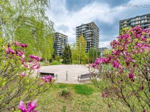 Pronájem bytu 2+kk, Praha - Žižkov, Malešická, 98 m2